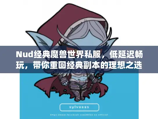 Nud经典魔兽世界私服，低延迟畅玩，带你重回经典副本的理想之选