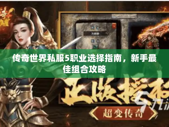 传奇世界私服5职业选择指南，新手最佳组合攻略