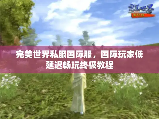 完美世界私服国际服,国际玩家低延迟畅玩终极教程 完美世界私服国际服,国际玩家低延迟畅玩终极教程