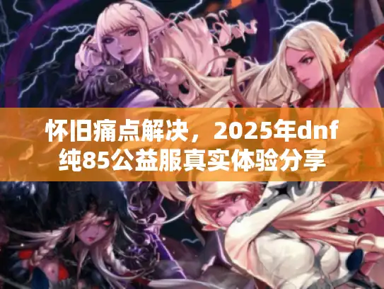 怀旧痛点解决，2025年dnf纯85公益服真实体验分享