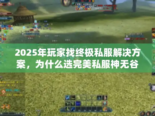 2025年玩家找终极私服解决方案,为什么选完美私服神无谷? 2025年玩家找终极私服解决方案,为什么选完美私服神无谷?