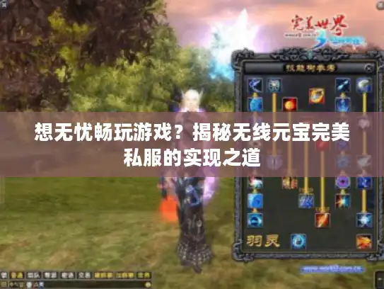 想无忧畅玩游戏？揭秘无线元宝完美私服的实现之道