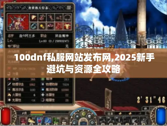 100dnf私服网站发布网,2025新手避坑与资源全攻略
