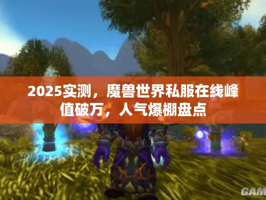 2025实测，魔兽世界私服在线峰值破万，人气爆棚盘点