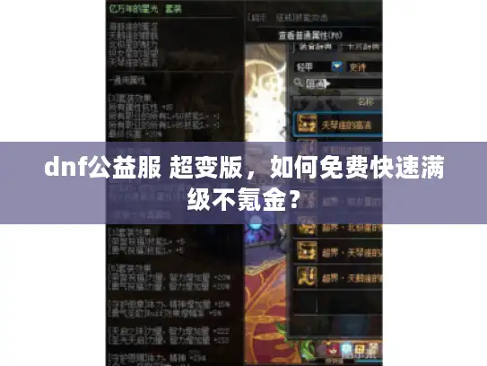 dnf公益服 超变版，如何免费快速满级不氪金？