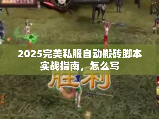 2025完美私服自动搬砖脚本实战指南，怎么写