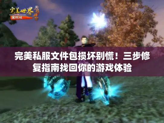 完美私服文件包损坏别慌！三步修复指南找回你的游戏体验