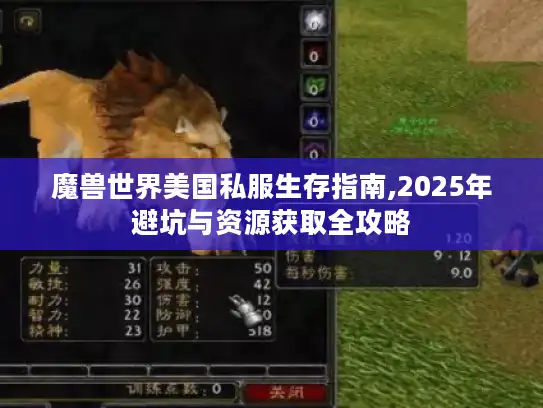 魔兽世界美国私服生存指南,2025年避坑与资源获取全攻略