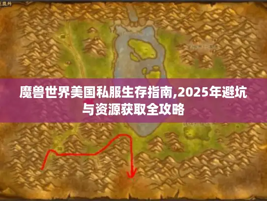 魔兽世界美国私服生存指南,2025年避坑与资源获取全攻略