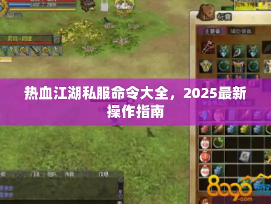 热血江湖私服命令大全，2025最新操作指南