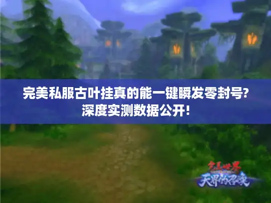 完美私服古叶挂真的能一键瞬发零封号?深度实测数据公开!