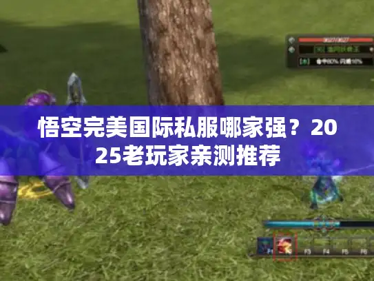 悟空完美国际私服哪家强？2025老玩家亲测推荐