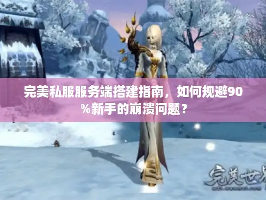 完美私服服务端搭建指南，如何规避90%新手的崩溃问题？