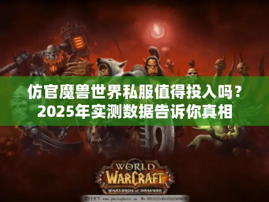 仿官魔兽世界私服值得投入吗?2025年实测数据告诉你真相 仿官魔兽世界私服值得投入吗?2025年实测数据告诉你真相