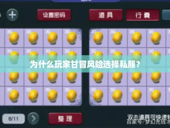 为什么玩家甘冒风险选择私服？