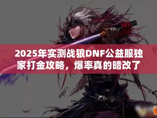 2025年实测战狼DNF公益服独家打金攻略，爆率真的暗改了吗？