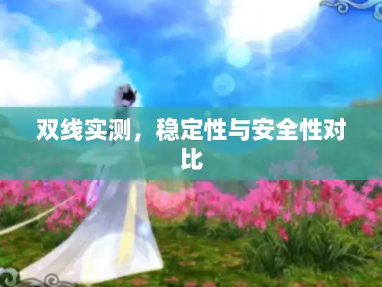 双线实测,稳定性与安全性对比 双线实测,稳定性与安全性对比