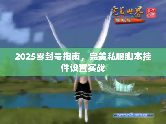 2025零封号指南,完美私服脚本挂件设置实战 2025零封号指南,完美私服脚本挂件设置实战