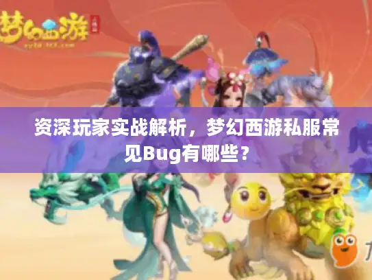 资深玩家实战解析，梦幻西游私服常见Bug有哪些？