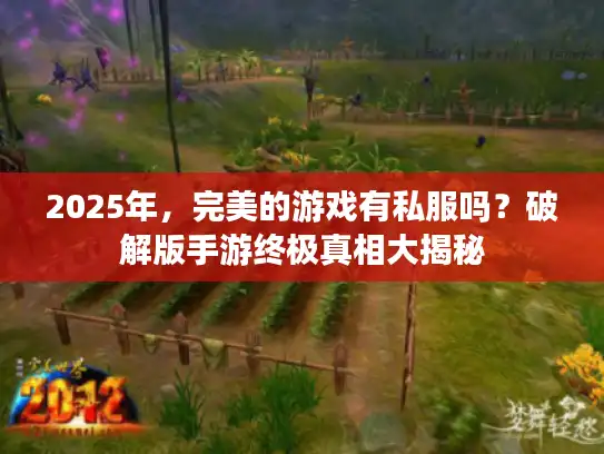 2025年，完美的游戏有私服吗？破解版手游终极真相大揭秘