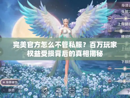 完美官方怎么不管私服？百万玩家权益受损背后的真相揭秘