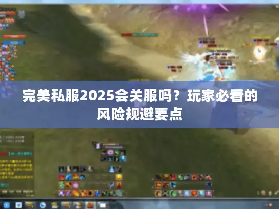 完美私服2025会关服吗？玩家必看的风险规避要点