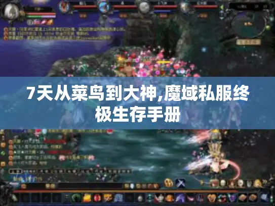 7天从菜鸟到大神,魔域私服终极生存手册