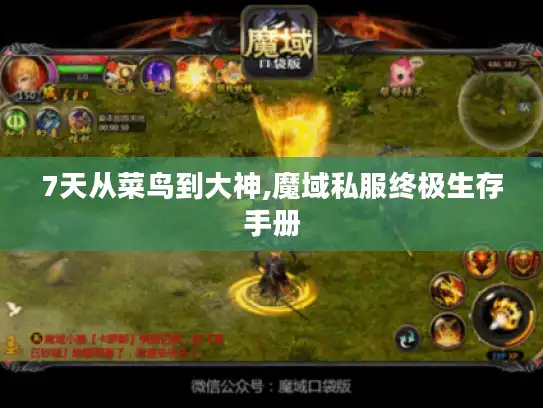 7天从菜鸟到大神,魔域私服终极生存手册