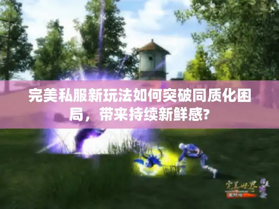 完美私服新玩法如何突破同质化困局,带来持续新鲜感? 完美私服新玩法如何突破同质化困局,带来持续新鲜感?