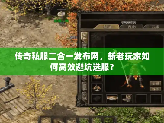传奇私服二合一发布网，新老玩家如何高效避坑选服？