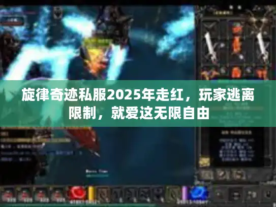 旋律奇迹私服2025年走红，玩家逃离限制，就爱这无限自由