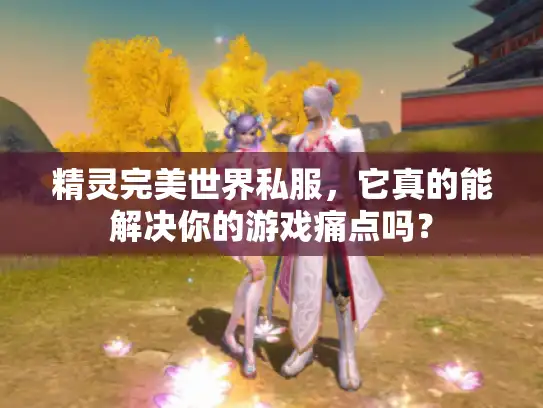 精灵完美世界私服，它真的能解决你的游戏痛点吗？