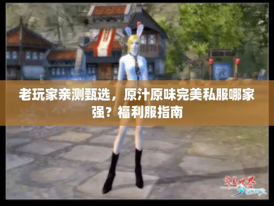 老玩家亲测甄选，原汁原味完美私服哪家强？福利服指南