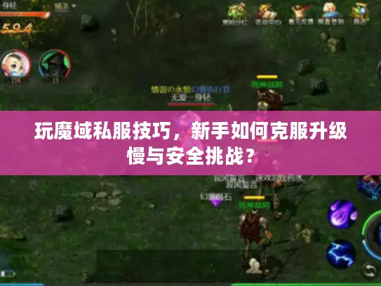 玩魔域私服技巧,新手如何克服升级慢与安全挑战? 玩魔域私服技巧,新手如何克服升级慢与安全挑战?