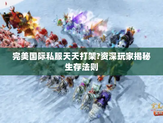 完美国际私服天天打架?资深玩家揭秘生存法则