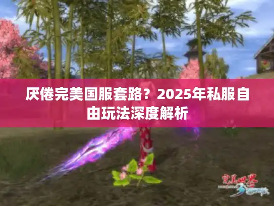 厌倦完美国服套路？2025年私服自由玩法深度解析