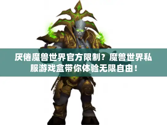 厌倦魔兽世界官方限制？魔兽世界私服游戏盒带你体验无限自由！