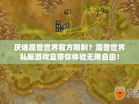 厌倦魔兽世界官方限制？魔兽世界私服游戏盒带你体验无限自由！