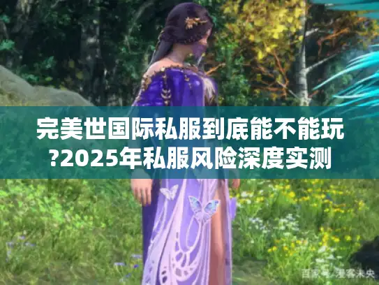 完美世国际私服到底能不能玩?2025年私服风险深度实测