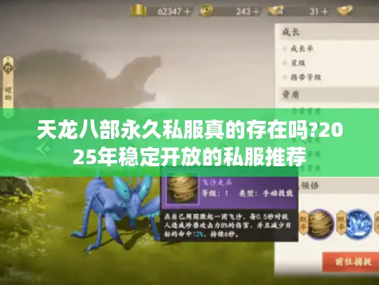 天龙八部永久私服真的存在吗?2025年稳定开放的私服推荐 天龙八部永久私服真的存在吗?2025年稳定开放的私服推荐