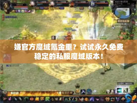 嫌官方魔域氪金重？试试永久免费稳定的私服魔域版本！