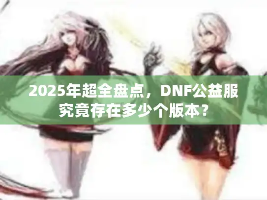 2025年超全盘点，DNF公益服究竟存在多少个版本？