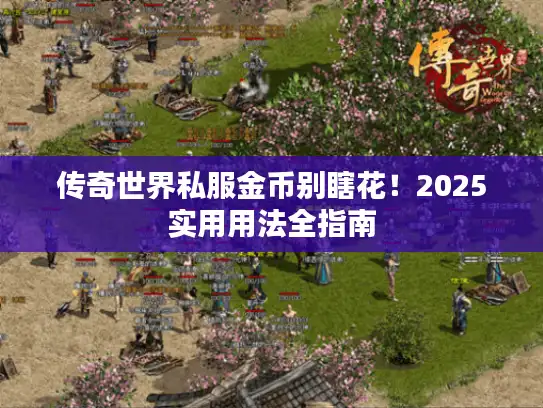 传奇世界私服金币别瞎花!2025实用用法全指南 传奇世界私服金币别瞎花!2025实用用法全指南