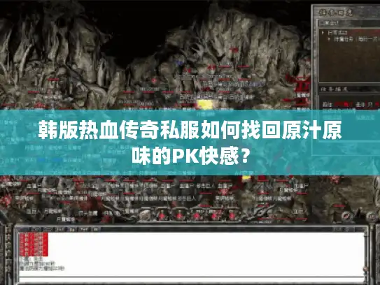 韩版热血传奇私服如何找回原汁原味的PK快感? 韩版热血传奇私服如何找回原汁原味的PK快感?