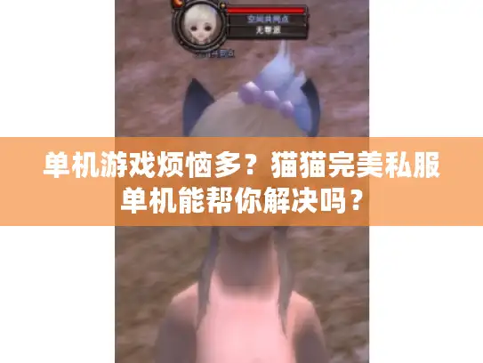 单机游戏烦恼多？猫猫完美私服单机能帮你解决吗？
