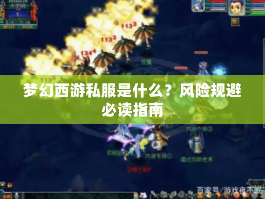 梦幻西游私服是什么？风险规避必读指南