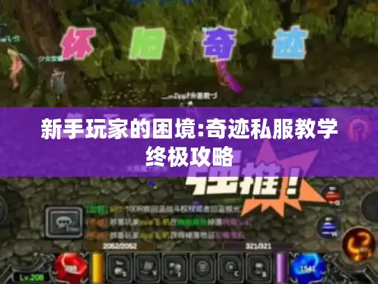 新手玩家的困境:奇迹私服教学终极攻略 新手玩家的困境:奇迹私服教学终极攻略