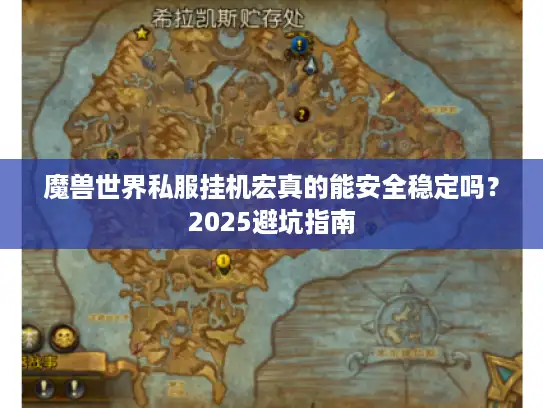 魔兽世界私服挂机宏真的能安全稳定吗？2025避坑指南