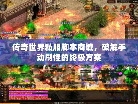 传奇世界私服脚本商城，破解手动刷怪的终极方案