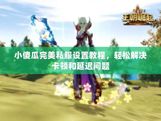 小傻瓜完美私服设置教程，轻松解决卡顿和延迟问题